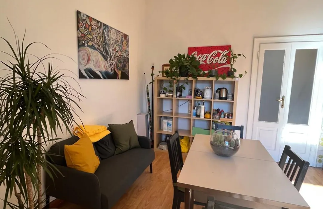 Molis'S House-1