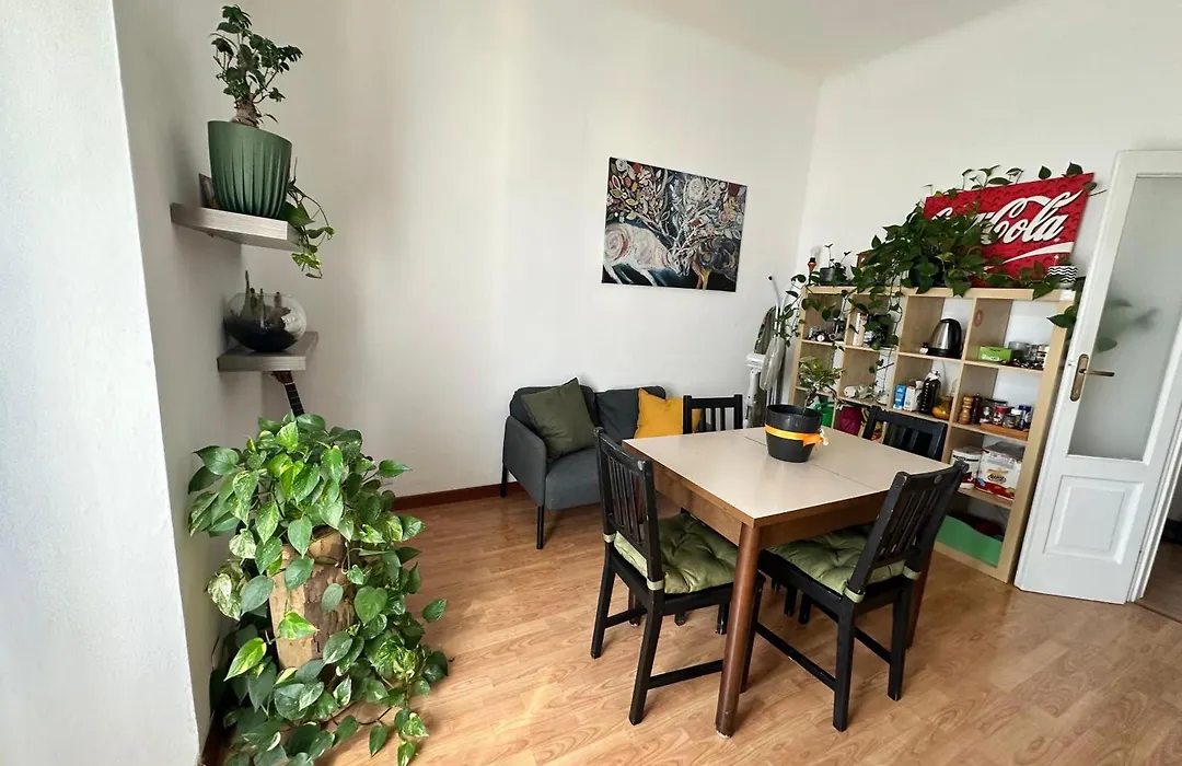 Molis'S House-1